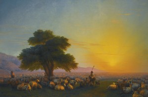 Sheeps in the sun